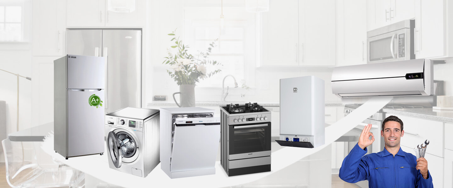 Bulanık Smeg Servisi